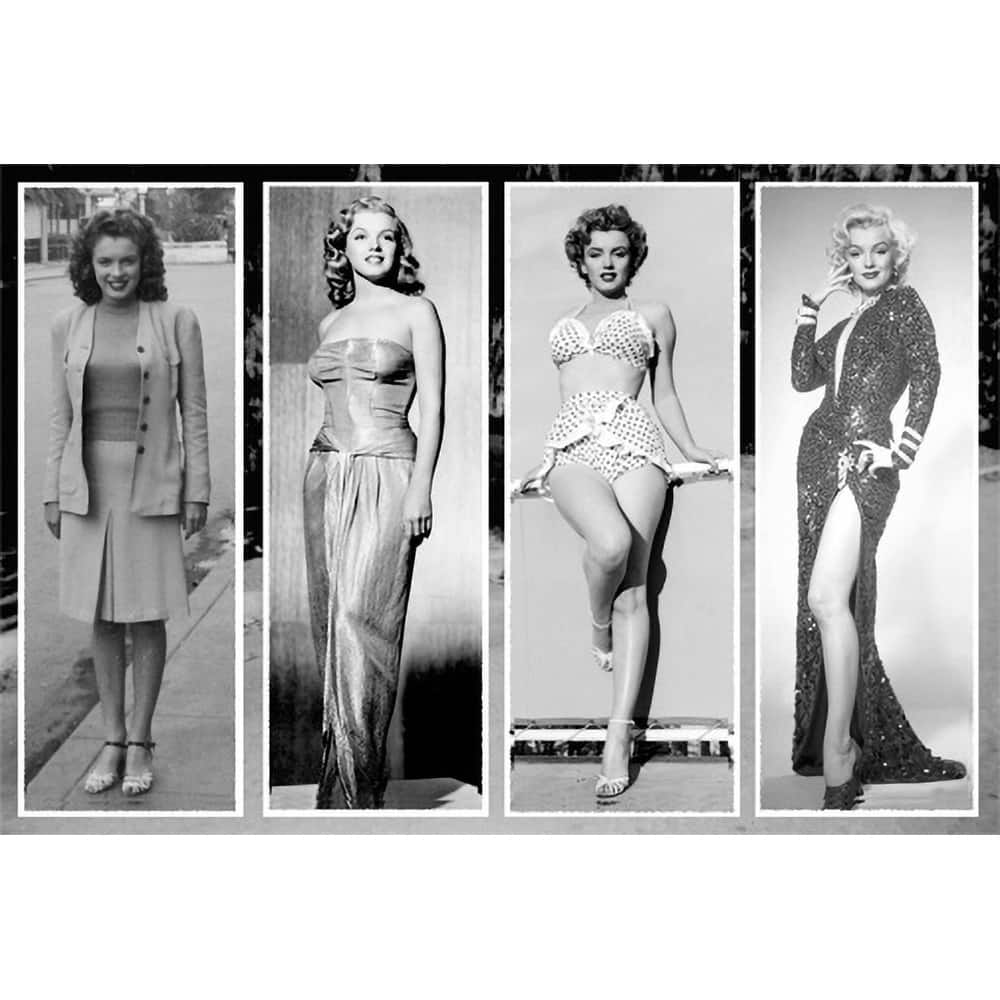 Marilyn Evolution Art Poster - 24 x 36 Inch