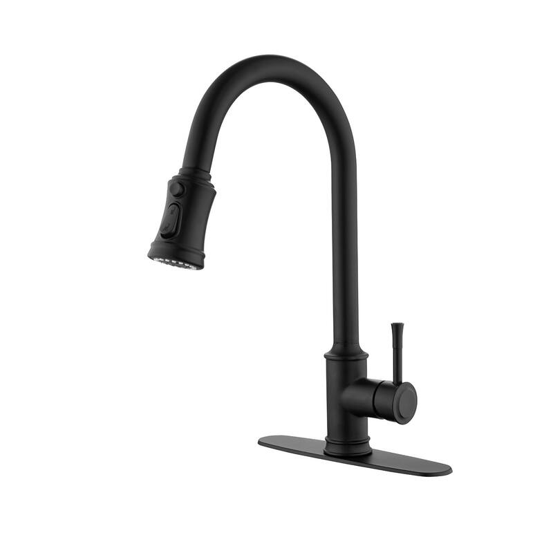 Single Handle High Arc Pull Out Kitchen Faucet,Single Level Stainless Steel Kitchen Sink Faucets with Pull Down Sprayer - Black