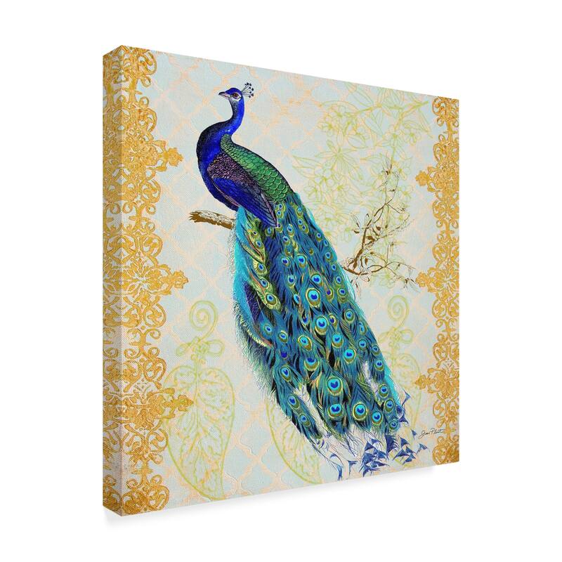 Jean Plout 'Beautiful Peacock' Canvas Art