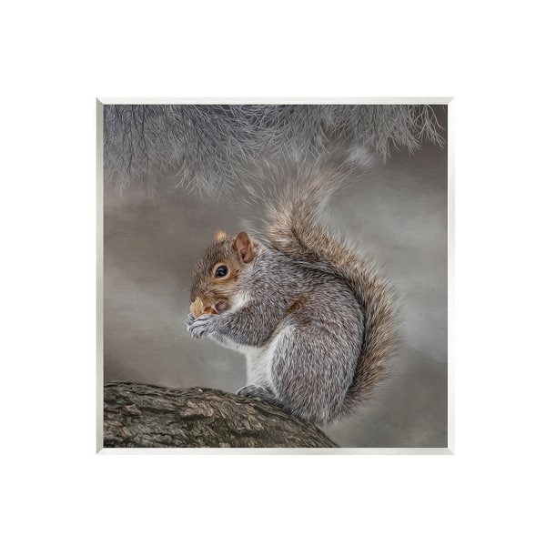 Stupell Woodland Wildlife Squirrel Photography Wall Plaque Art by ...