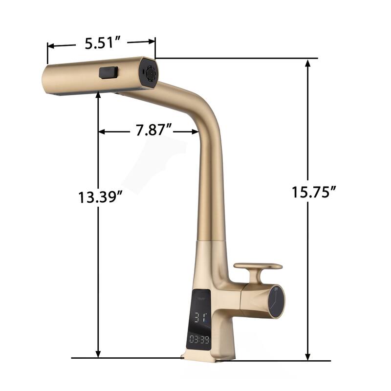 Topcraft Stainless Steel Pull Down Kitchen Faucet
