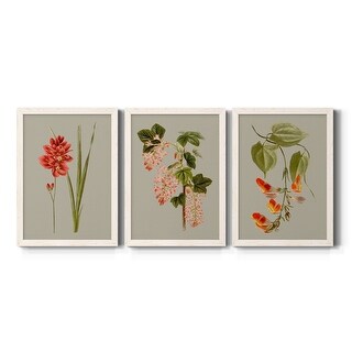 Botanical Array IV-Premium Framed Canvas - Ready to Hang - Multi-Color ...