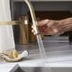preview thumbnail 18 of 33, Blanco Rivana Semi-Pro Pull-Down Dual-Spray Kitchen Faucet 1.5 GPM - 8.88-in x 4.56-in x 19.88-in