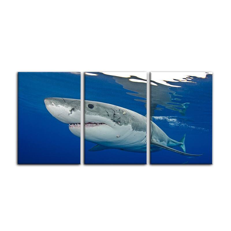 Ready2HangArt 'Shark' 3-Piece Wrapped Canvas Wall Art Set