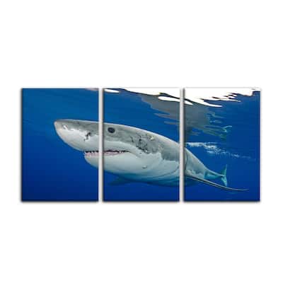 Ready2HangArt 'Shark' 3-Piece Wrapped Canvas Wall Art Set