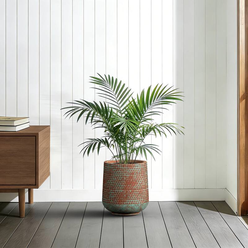 Concrete Tall Round Planter Pot with Drainage Holes, Upgraded Interior