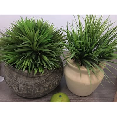 Indoor or Outdoor Decoration Artificial Plants