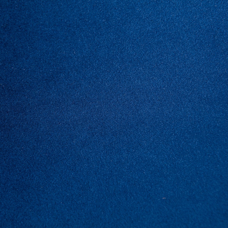 Navy 25.2" Accent Chair with Curved Backrest (Set of 2)