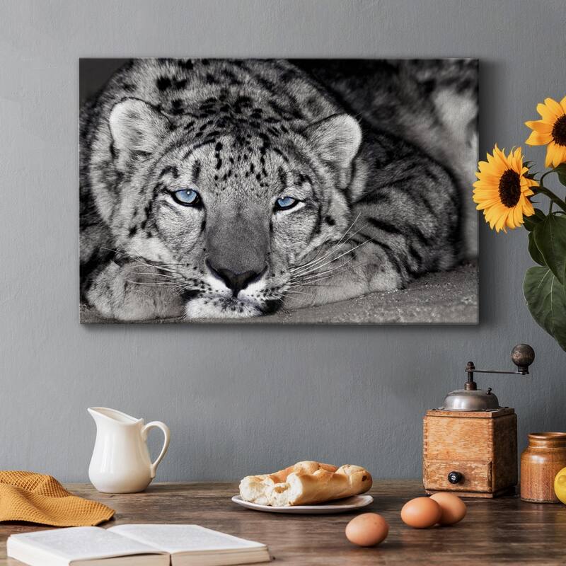 Snow Leopard Sanctuary Premium Gallery Wrapped Canvas - Ready to Hang