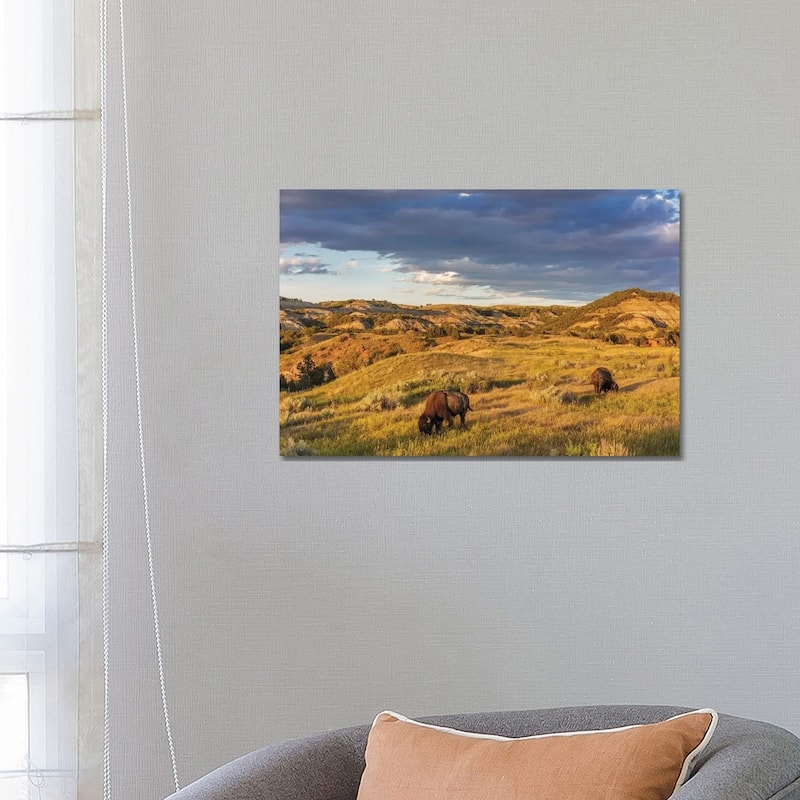 iCanvas "Bison grazing in badlands in Theodore Roosevelt National Park, North Dakota, USA" by Chuck Haney Canvas Print - 18x26x1.5