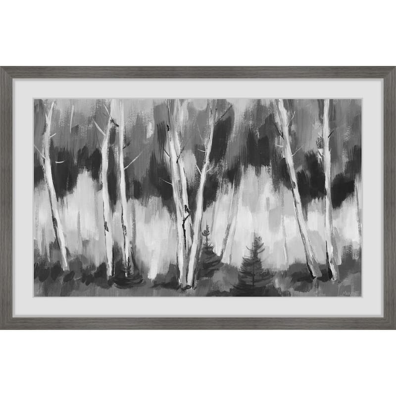 Shady Woods Framed Print