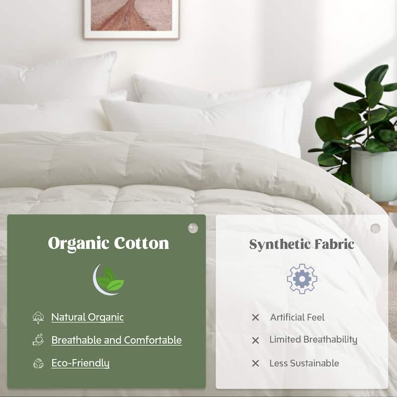 All Season 300TC Organic Cotton Down Comforter - 100% Natural, Chemical-Free, Medium Warmth Duvet Insert