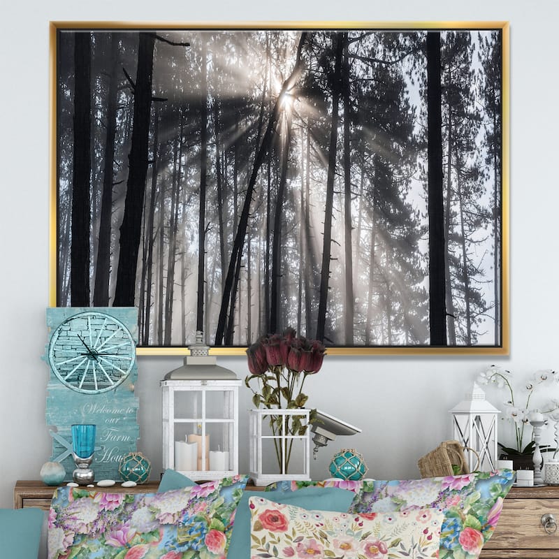 Designart "Sunbeams through Black White Forest" Forest Framed Canvas Wall Art Print