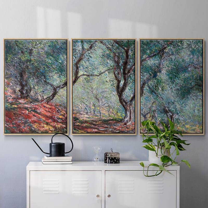 Olive Tree in the Moreno Garden, 1884 - Multi Piece Framed Canvas