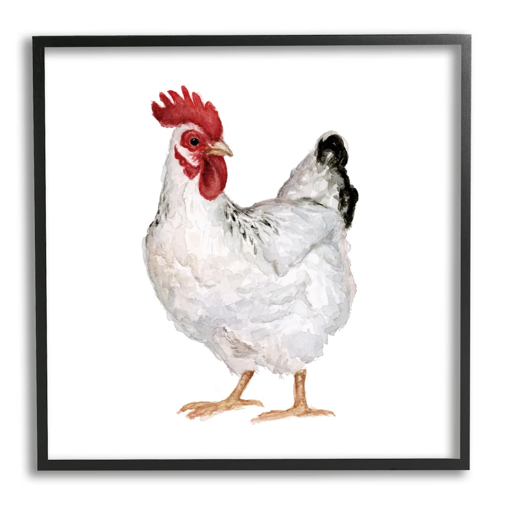 Stupell Quaint Chicken Watercolor Painting Farm Hen Portrait Framed Wall Art - White