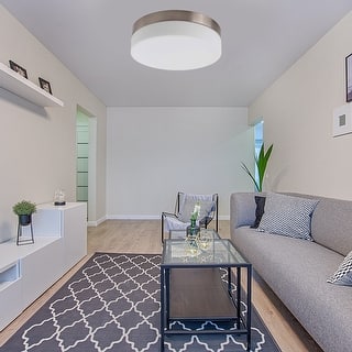 1 Light Flush Mount Ceiling light in Brushed Nickel