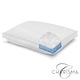 preview thumbnail 8 of 11, Paired Comfort Hybrid Memory Foam and Fiber Bed Pillow from Charisma