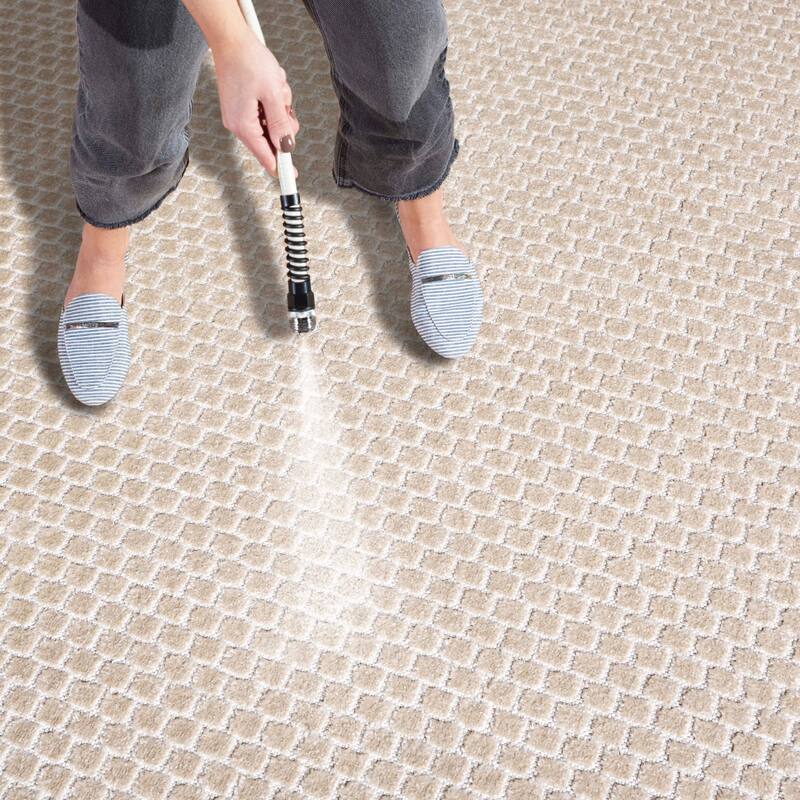 SAFAVIEH Stella Hattie Indoor/Outdoor Waterproof Patio Backyard Rug