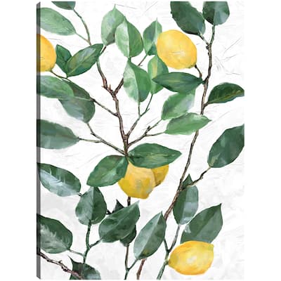 Lemon Tree By Studio Arts Canvas Art Print
