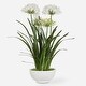 preview thumbnail 1 of 2, Uttermost 60221 Purity Agapanthus 30" Wide Faux Flowers Potted White