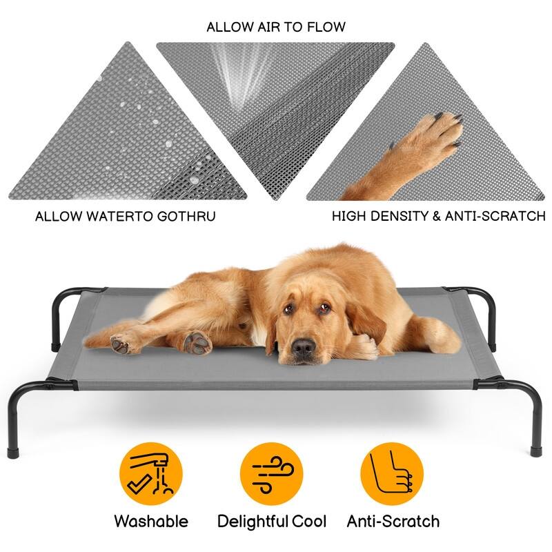 50 in. x 31 in. Iron Frame Gray Mesh Surface Outdoor Dog Cot - 50 in. x 31 in. x 8 in.