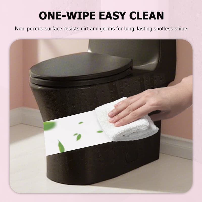 Matte Black One-Piece Toilet
