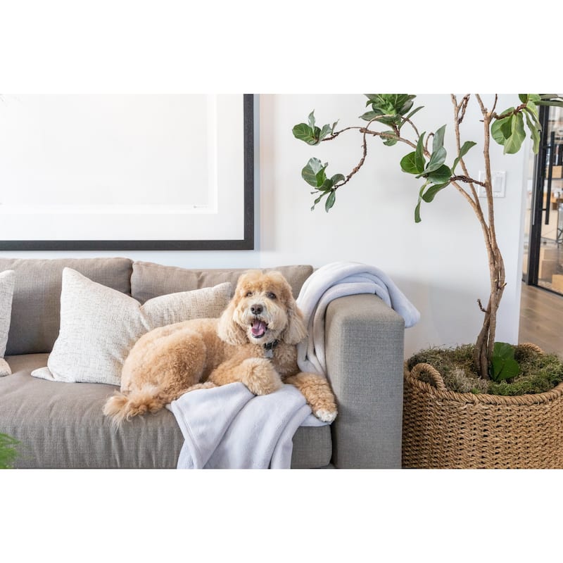 Jennifer Adams Cloud Ultra-Plush Throw