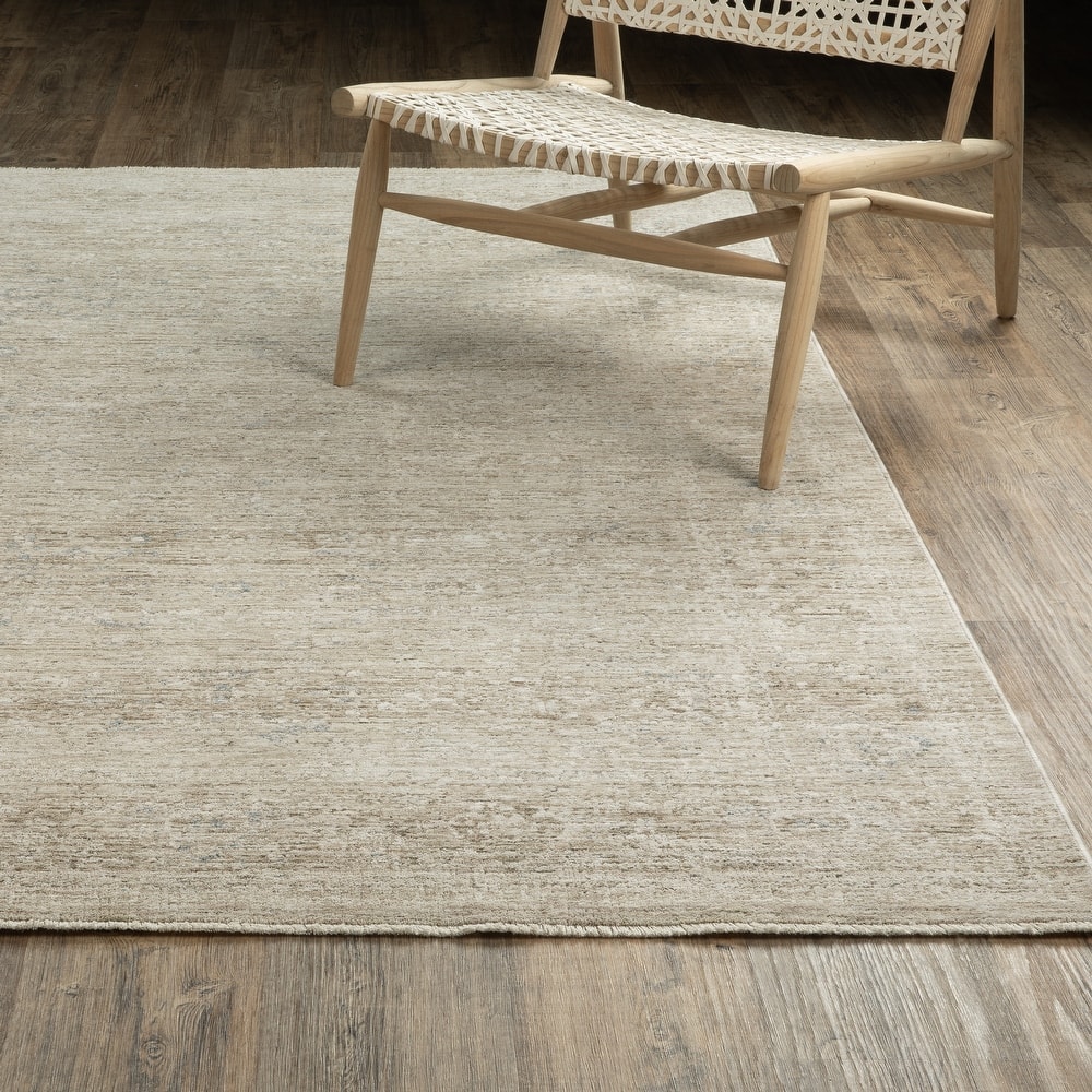 Amira Distressed Traditional Beige/ Grey Area Rug-