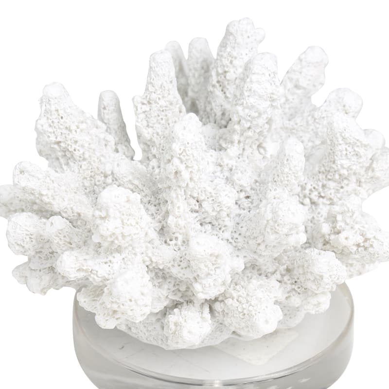 Polystone Coral Small Textured Decorative Sculpture with Clear Acrylic Base - White - Roche River Decor