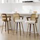 Option White-Rattan Back