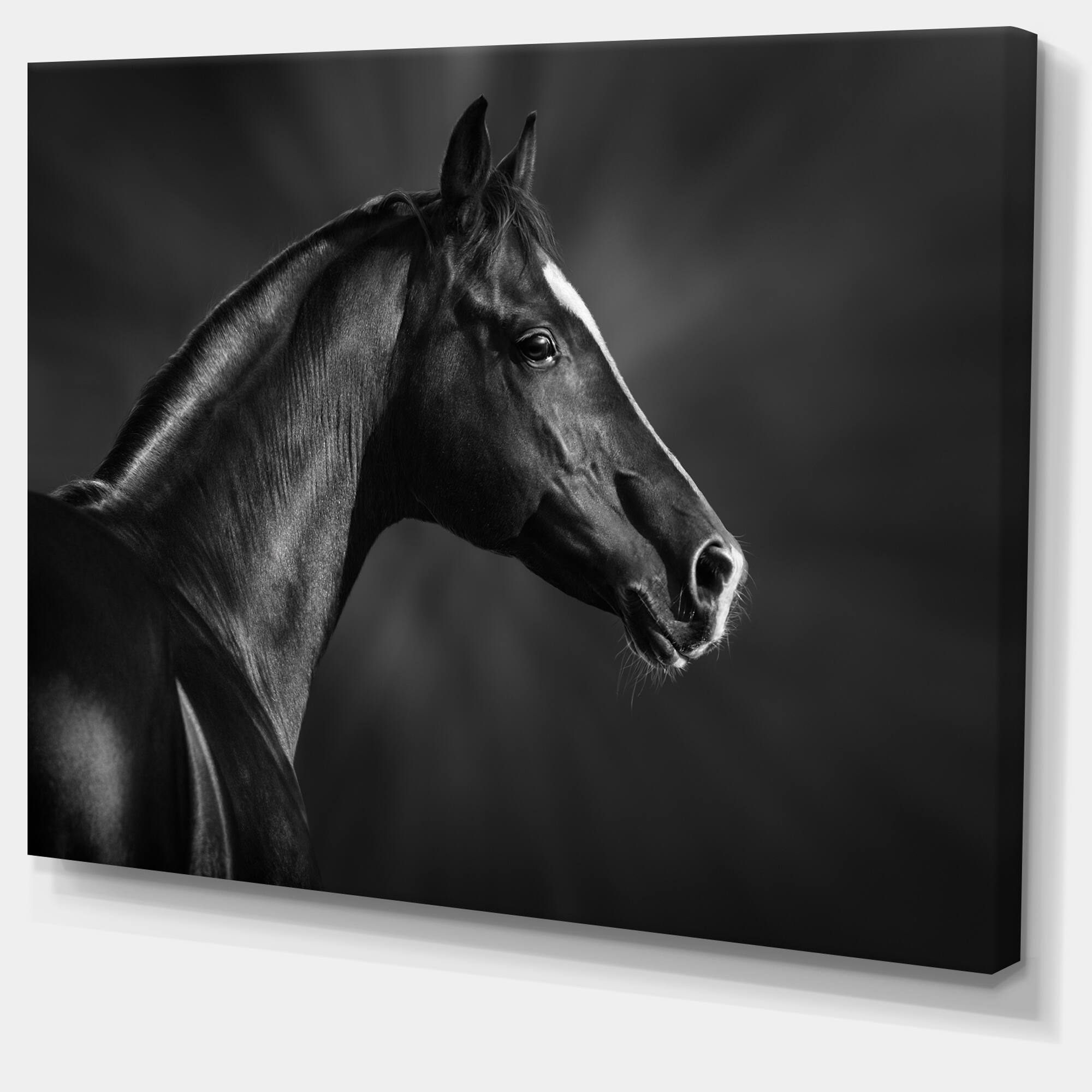 Designart "Black Arabian Horse Portrait" Animal Canvas Art Print Bed