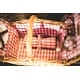 preview thumbnail 14 of 13, Picnic Time Piccadilly Picnic Basket, (Red & White Plaid Pattern)