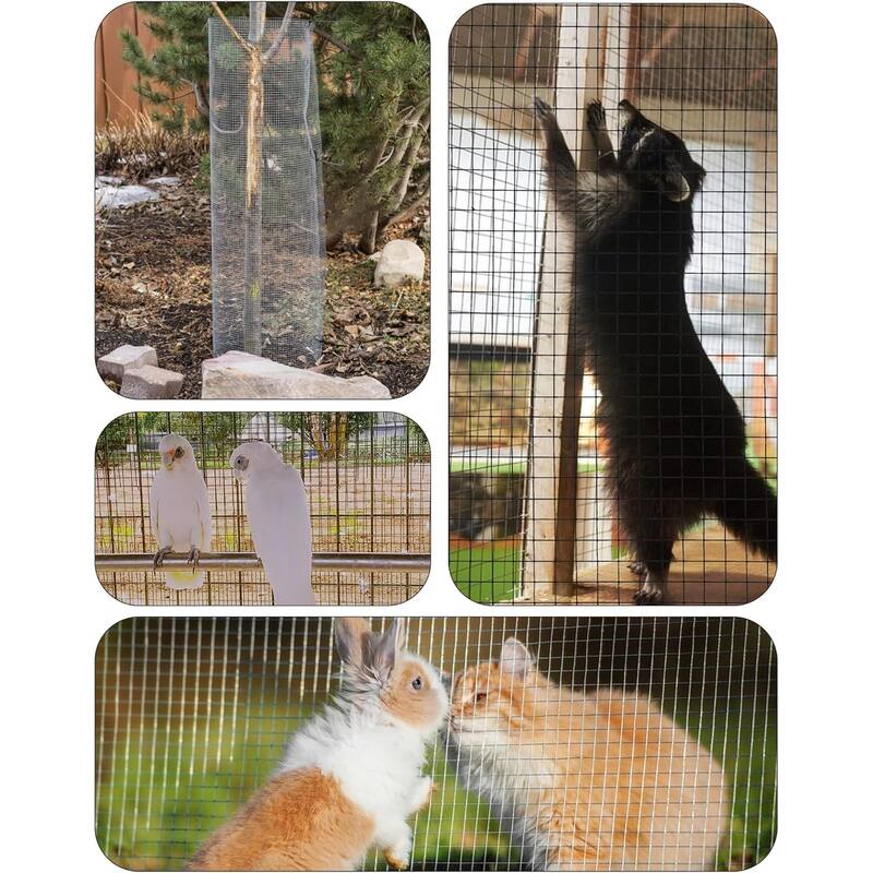 Vinyl Coated and Galvanized Alloy Steel Wire Mesh Roll