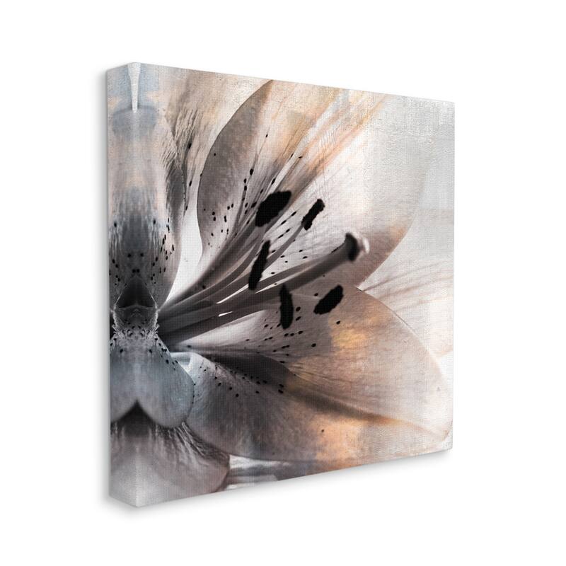 Stupell Lily Floral Close Up Black White Petal Detail Canvas Wall Art - Grey