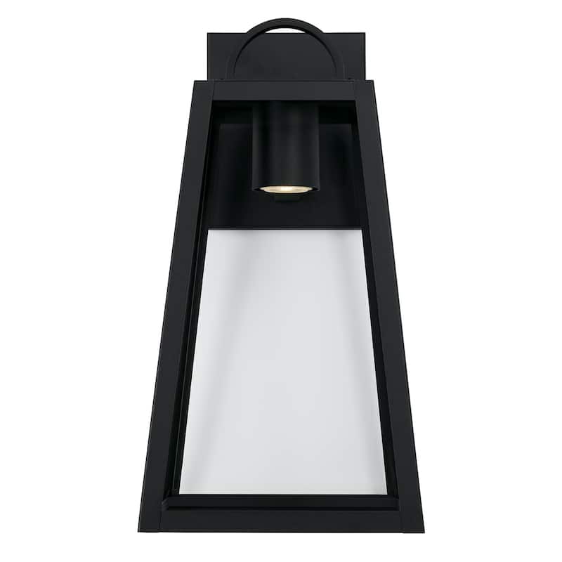 Leighton 20" Tall 1-light Minimal Light Pollution Outdoor Wall Lantern w/ Clear Glass