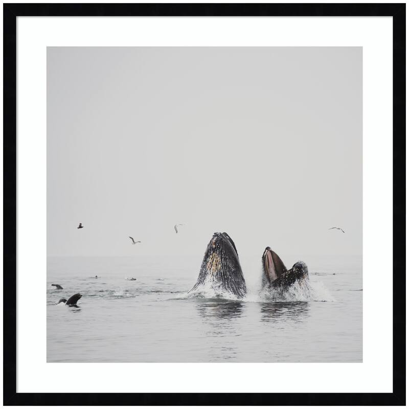 Kate and Laurel Humpback Whales No. 2 by Laura Evans Framed Wall Art Print - 25x25 - Black