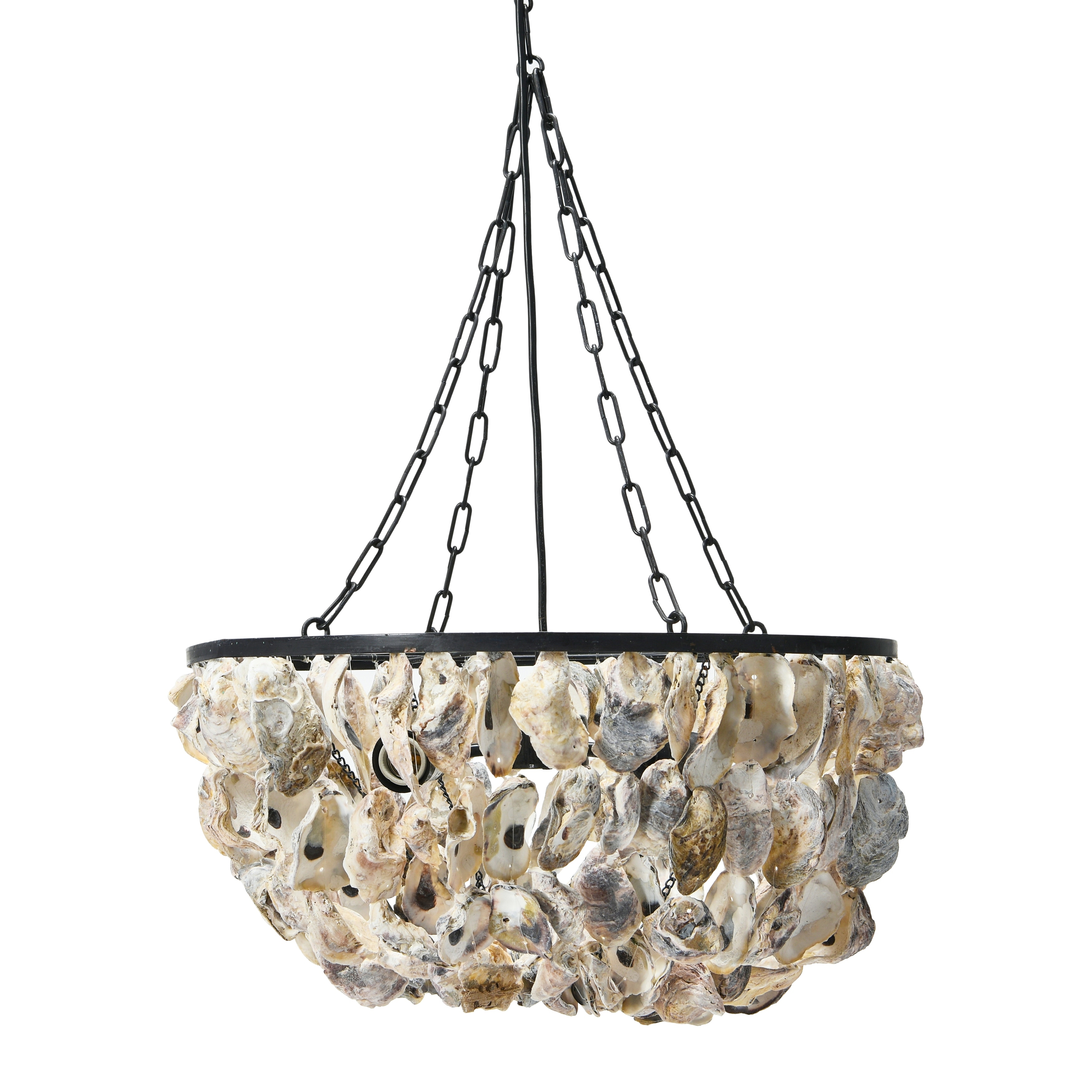 Oyster shell light sale
