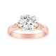 Option Rose