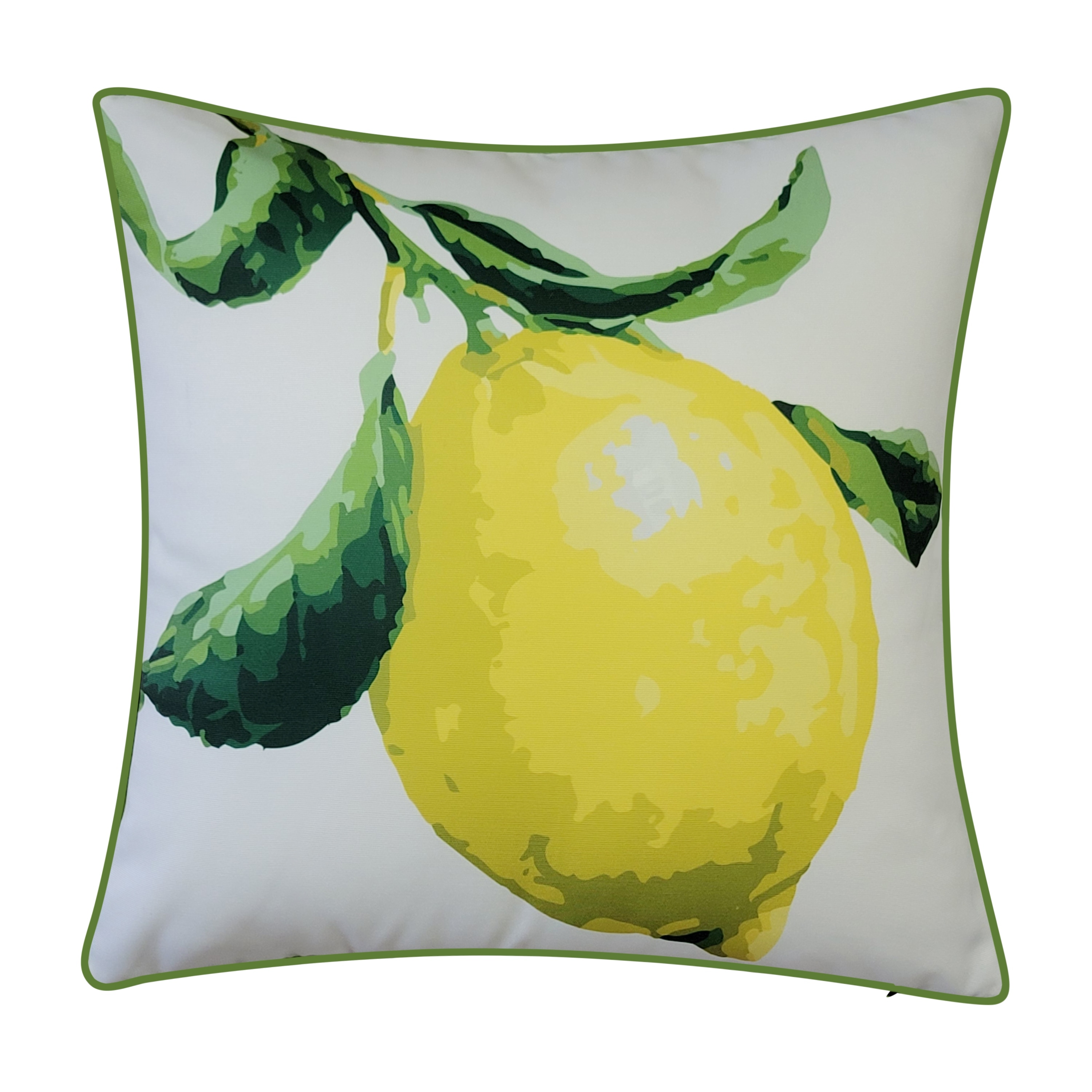 Oversized outdoor throw pillows store