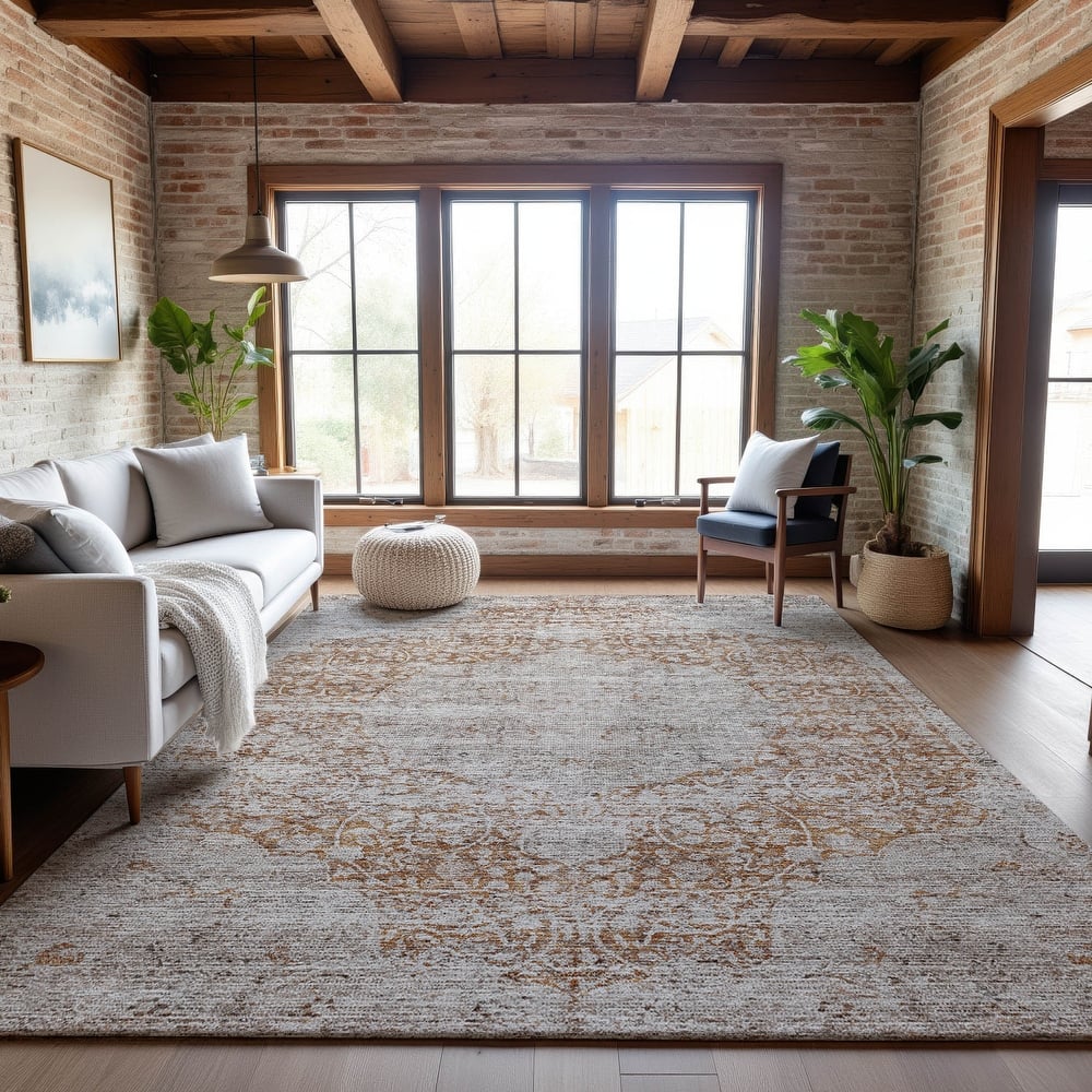 Premium Washable Super Soft Vintage Traditional Mayfield Rug