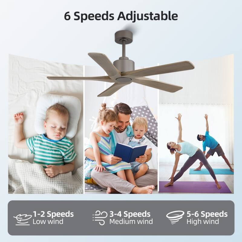 MLiAN 48in 5-Blade Indoor Ceiling Fan with Remote