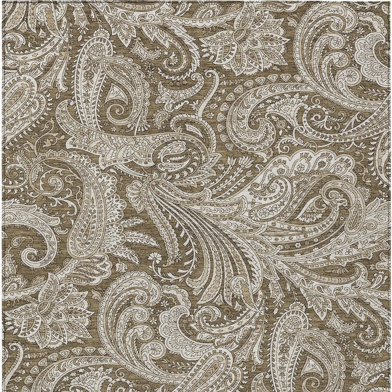 HomeRoots Paisley Transitional Rectangle Outdoor Rug