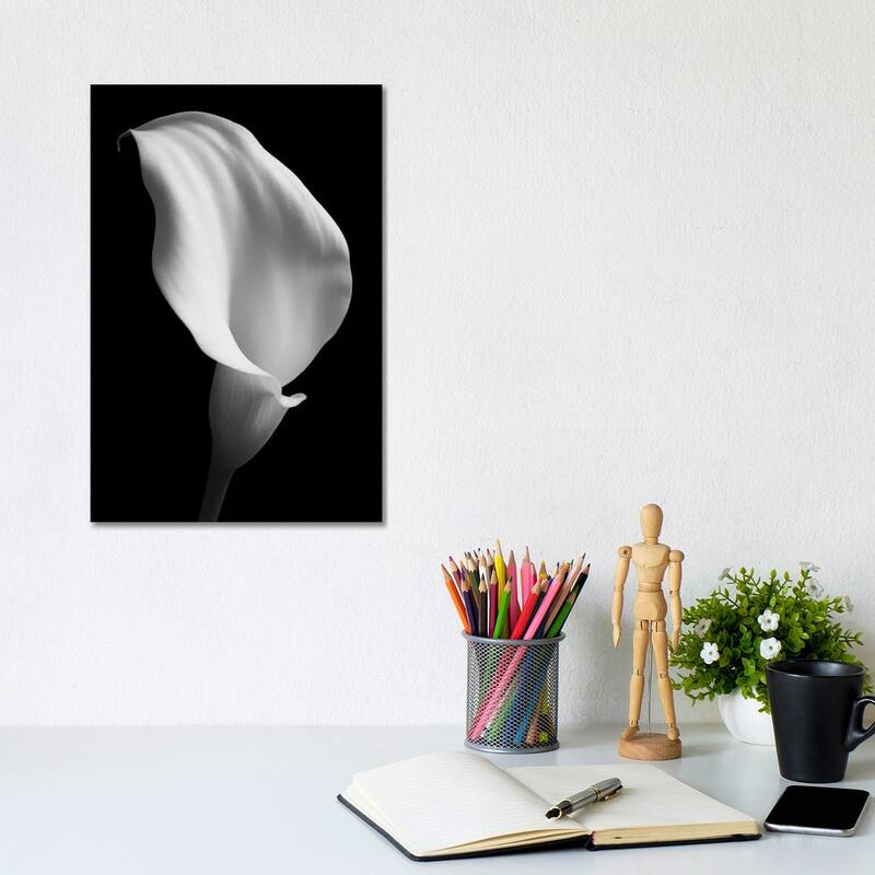 iCanvas "Lily On Black II" by Tom Quartermaine Canvas Print - 12x8x0.75