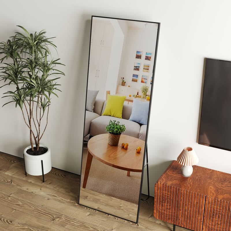 Roomfitters Wall-Mounted Full-Length Mirror with Black Aluminum Frame, 65"x23" Vanity or Decorative Mirror, Black