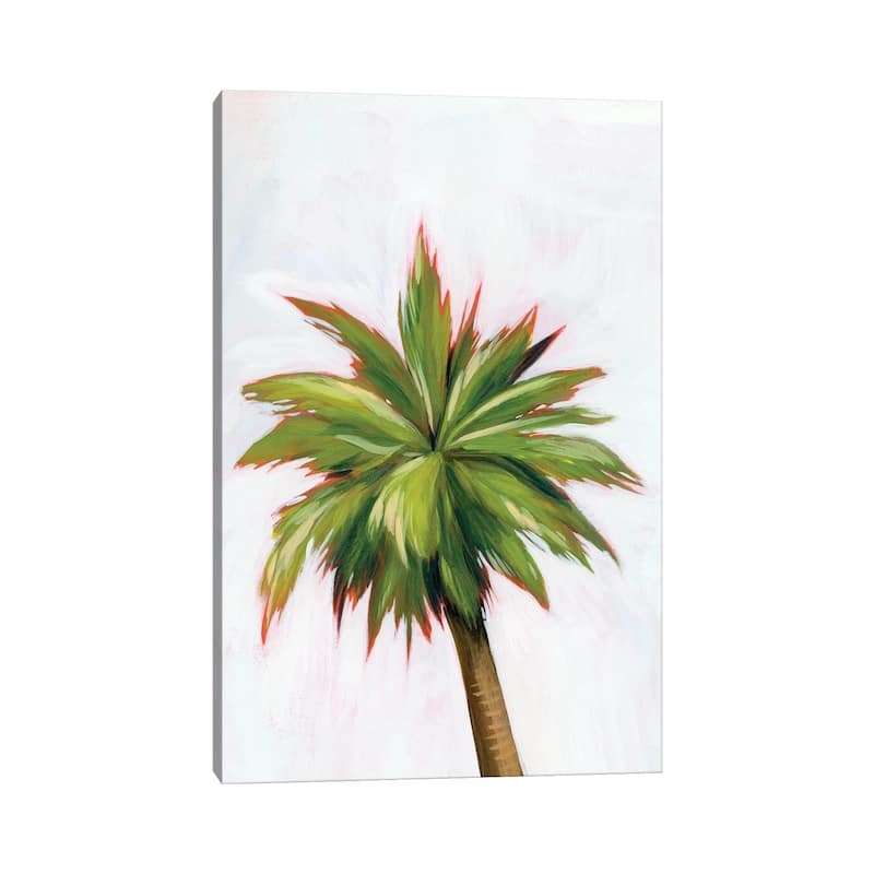 iCanvas "Palm Glow I" by Grace Popp Canvas Print