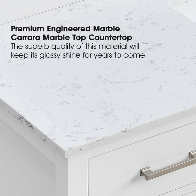 PROOX 60 in. W x 22in.D Freestanding Bath Vanity Engineered Top Single Rectangular Sink