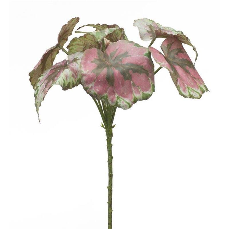 Begonia Leaf (Set of 2)