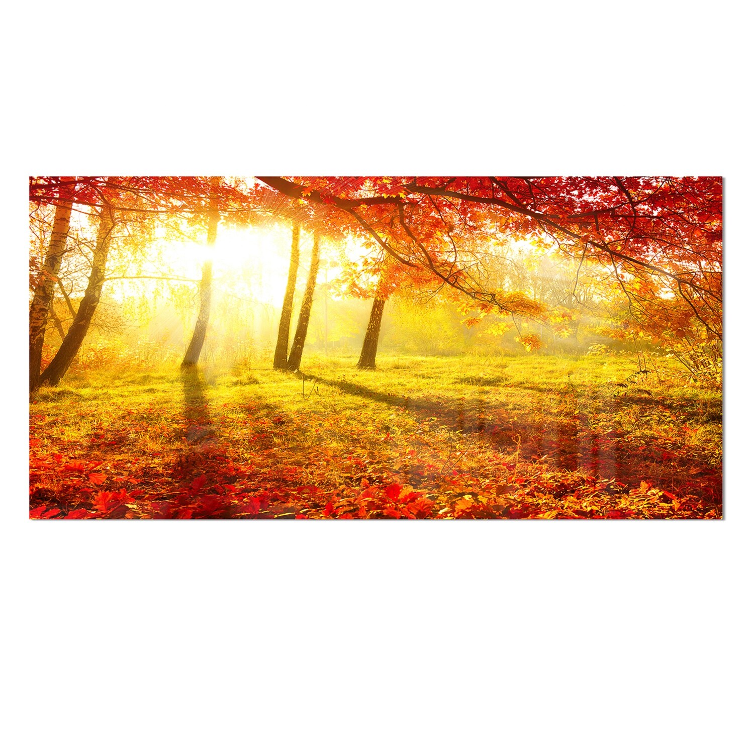 Designart 'Autumnal Park' Landscape Photography Metal Wall Small - Picture 7 of 15