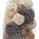 preview thumbnail 11 of 12, Blue Natural Dried Flower Coastal Orbs & Vase Filler Set of 2 11 x 7 x 6