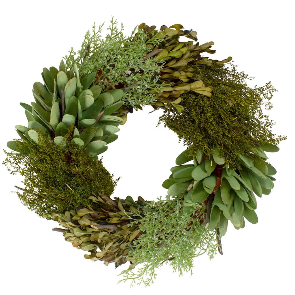 Cedar Succulent and Day Grass Artificial Spring Wreath Green -14-Inch
